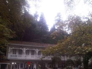 IMG00268-20131017-1439